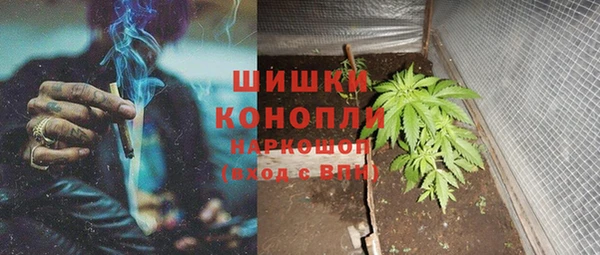 соль ск Алексин