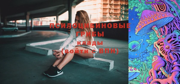 прущие грибы Абинск
