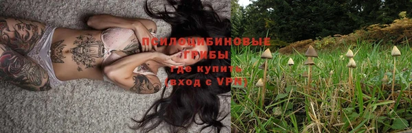 соль ск Алексин