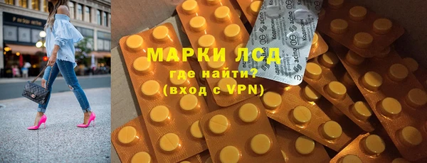 прущие грибы Абинск