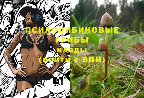 таблы Алзамай