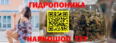 стафф Обь