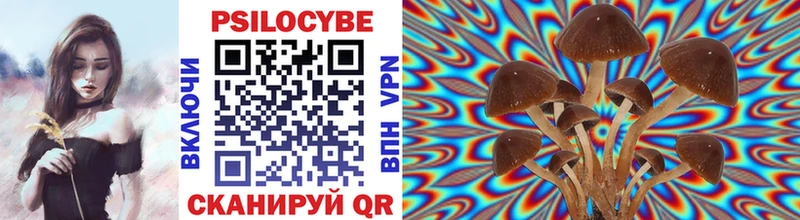 Галлюциногенные грибы MAGIC MUSHROOMS  Тулун 
